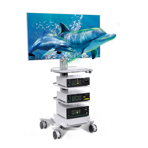 6383944431237236059592533